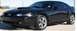 Stang Avvy.jpg